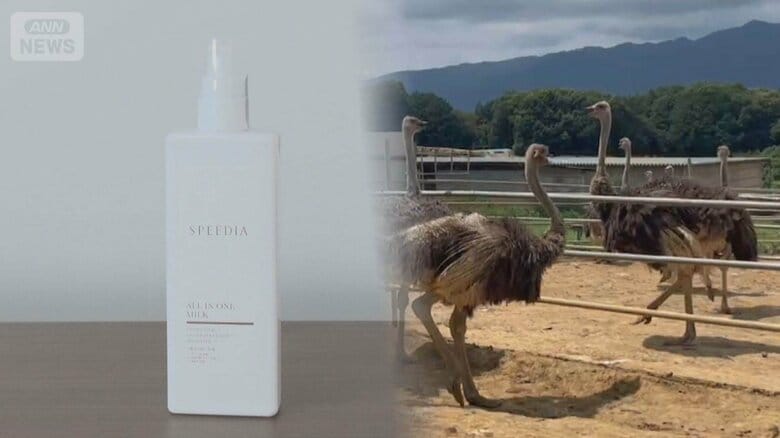 牛丼の吉野家が男性化粧品に参入　肉提供のため飼育するダチョウのオイルを商品化
