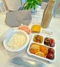 小倉優子、手作りの“お肉多め弁当”を公開 長男とのお金にまつわるやり取りに「笑ってしまいました笑」