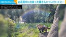 「なにか物語が始まりそうな感じ」 お花見中に出会った1匹の猫、“導かれた”先で撮れた1枚に反響