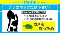 カメを救うために「ブラホック」が必要!?
