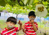 ココリコ遠藤嫁『収穫体験』