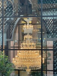 桜井奈々『光は希望』