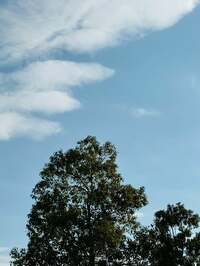 だいたひかる『今年最後の病院へ』