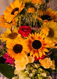 LiLiCo『やっほ～い❤️』