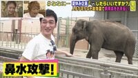 草彅が動物園で飼育員に