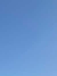 原田龍二の嫁『留学』