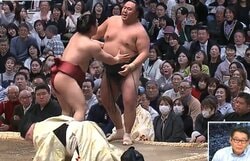 「すみません、行司さんに…」元若乃花、取組でのアクシデントに動揺 ファン「行司さんも大変だ」