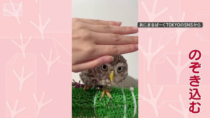 視線をさえぎると…のぞき込む