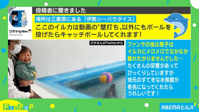 「いい仕事するねぇ～」イルカの可愛すぎる“ファンサ”に1歳息子がメロメロ 2枚目