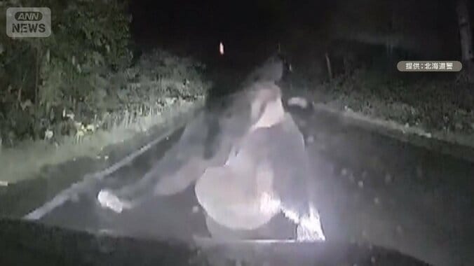 「ガンガンやられた」ヒグマ車に体当たり攻撃　ボンネットに穴　運転中親子グマに遭遇 1枚目