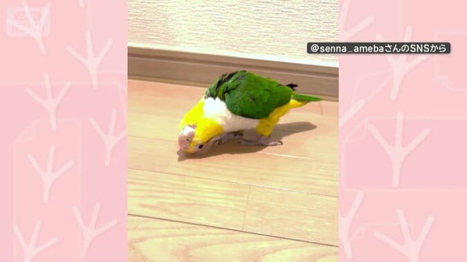 部屋のすみを歩く