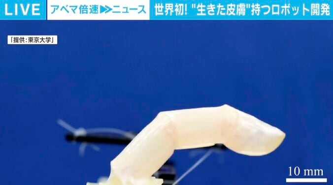 “アンドロイド”も作れる？ 世界初「生きた皮膚」を持つロボットの可能性 2枚目