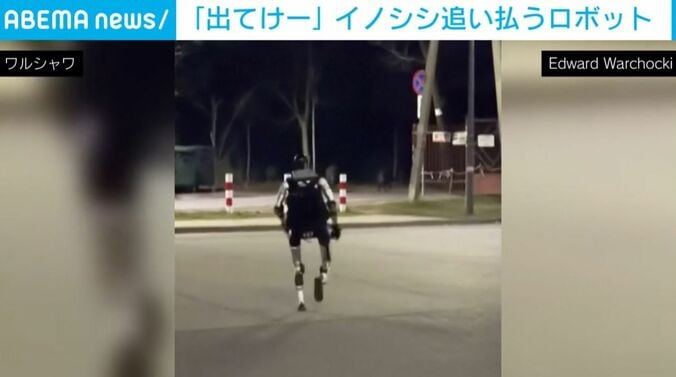 イノシシを追うロボット