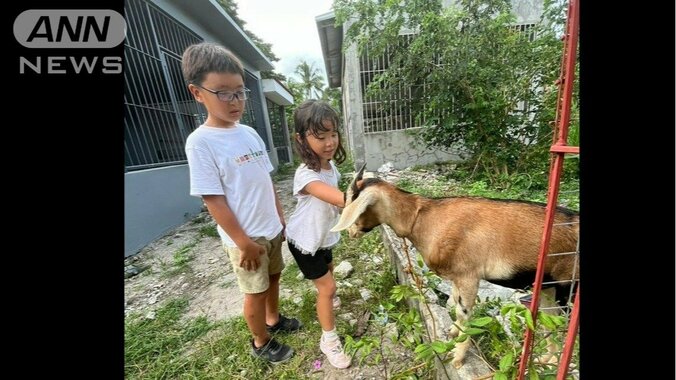 通学路には、放し飼いのヤギ、牛、鶏など動物がたくさん