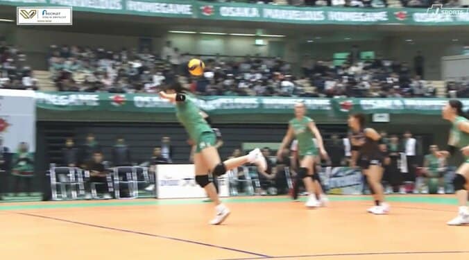 【写真・画像】　1枚目