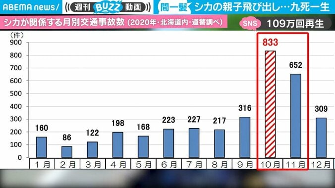 ツーリング中に“まさか”3連発で九死に一生 シカの飛び出し、迫る対向車、後続バイク… 息をのむ映像が話題 2枚目