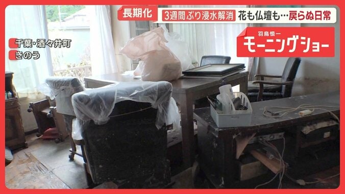 千葉で戻らぬ日常　農作物被害が長期化　最悪侵略植物の拡散懸念　台風25号から1カ月 1枚目