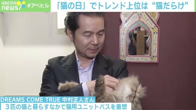 ドリカム中村正人「“猫大好き”って軽々しく言えない」家族の一員のために叶えた夢 5枚目