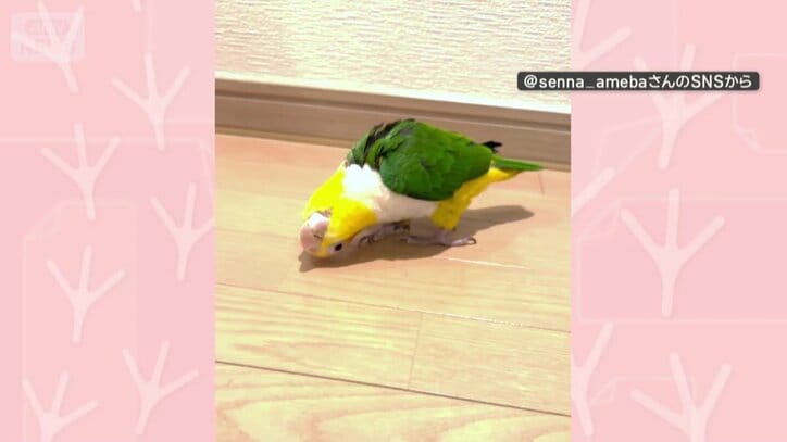 部屋のすみを歩く