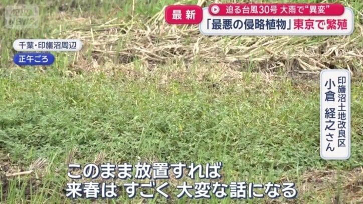田んぼや水路に拡散