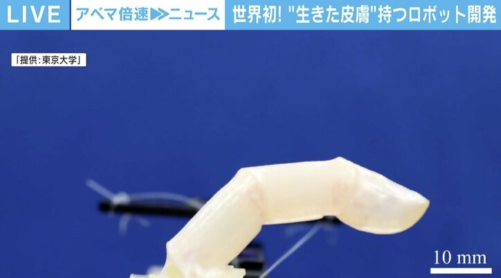“アンドロイド”も作れる？ 世界初「生きた皮膚」を持つロボットの可能性