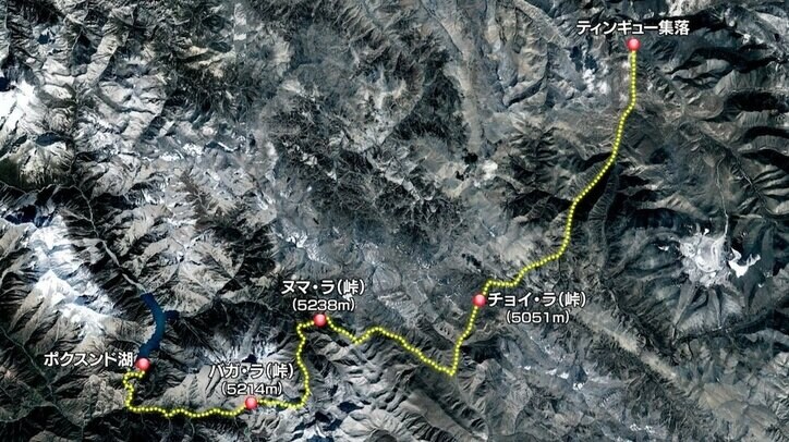 「知識ではなく体験」ナスD、標高3000メートル越えの絶景で「森林限界」を体感