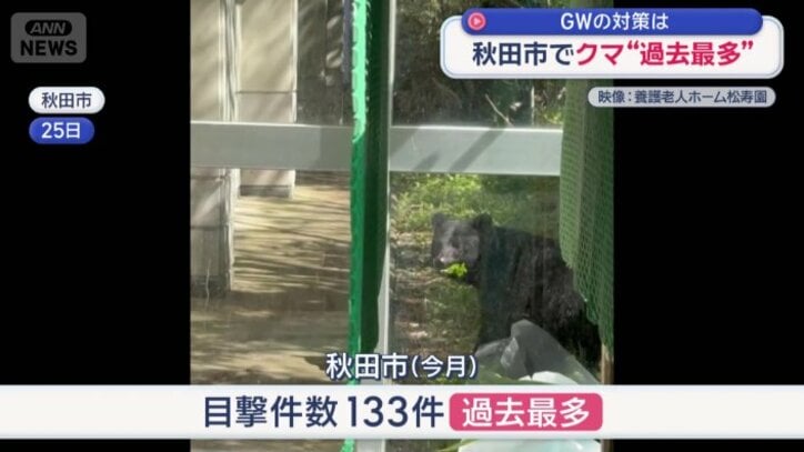 秋田市は今月、目撃数133件の過去最多