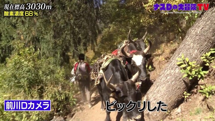 「幻の湖」を目指して…ナスD、死と隣り合わせのハードな旅路「よそ見したら終わり」