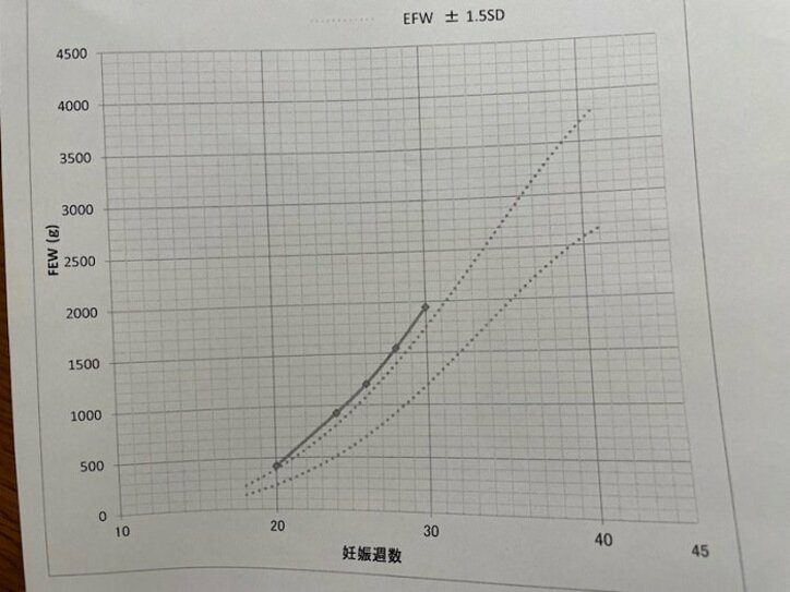 あいのり・桃、“ビッグベイビー”な胎児「ずっと標準のMAX超えてきます。笑」