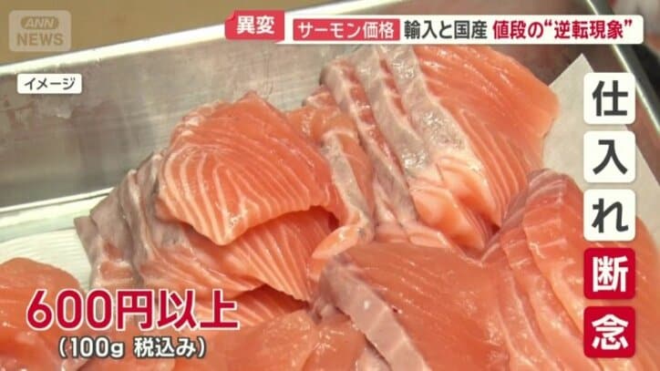 これまでの1.5倍となってしまうため仕入れを断念