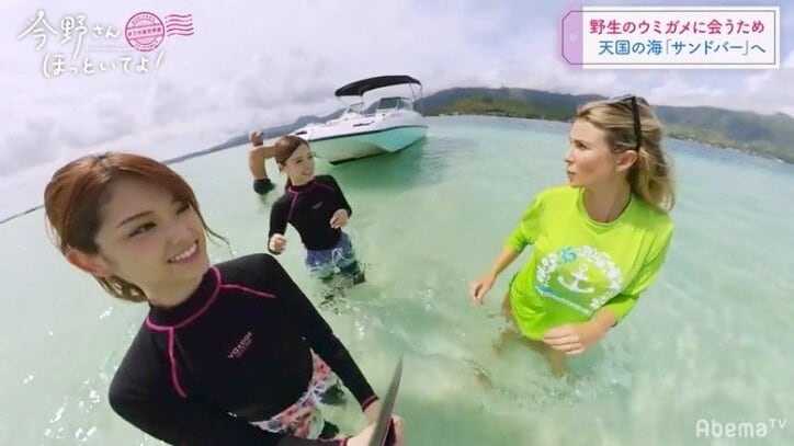 「待て待て～俺のマーメイド」白石麻衣＆松村沙友理、ハワイの海でカップルのようにはしゃぐ