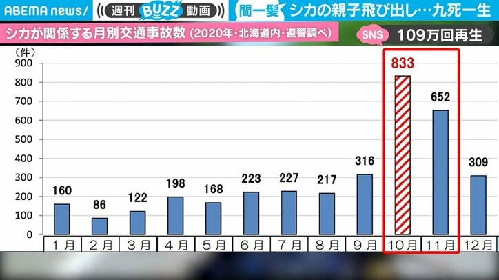 ツーリング中に“まさか”3連発で九死に一生 シカの飛び出し、迫る対向車、後続バイク… 息をのむ映像が話題