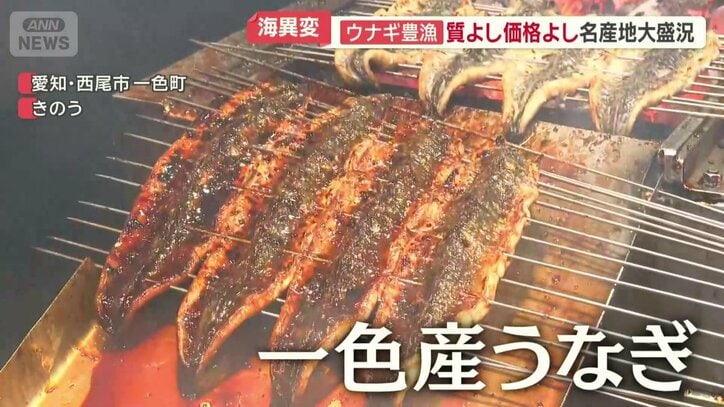 愛知県の「一色産うなぎ」