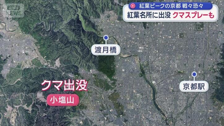京都市の市街地に隣接する山