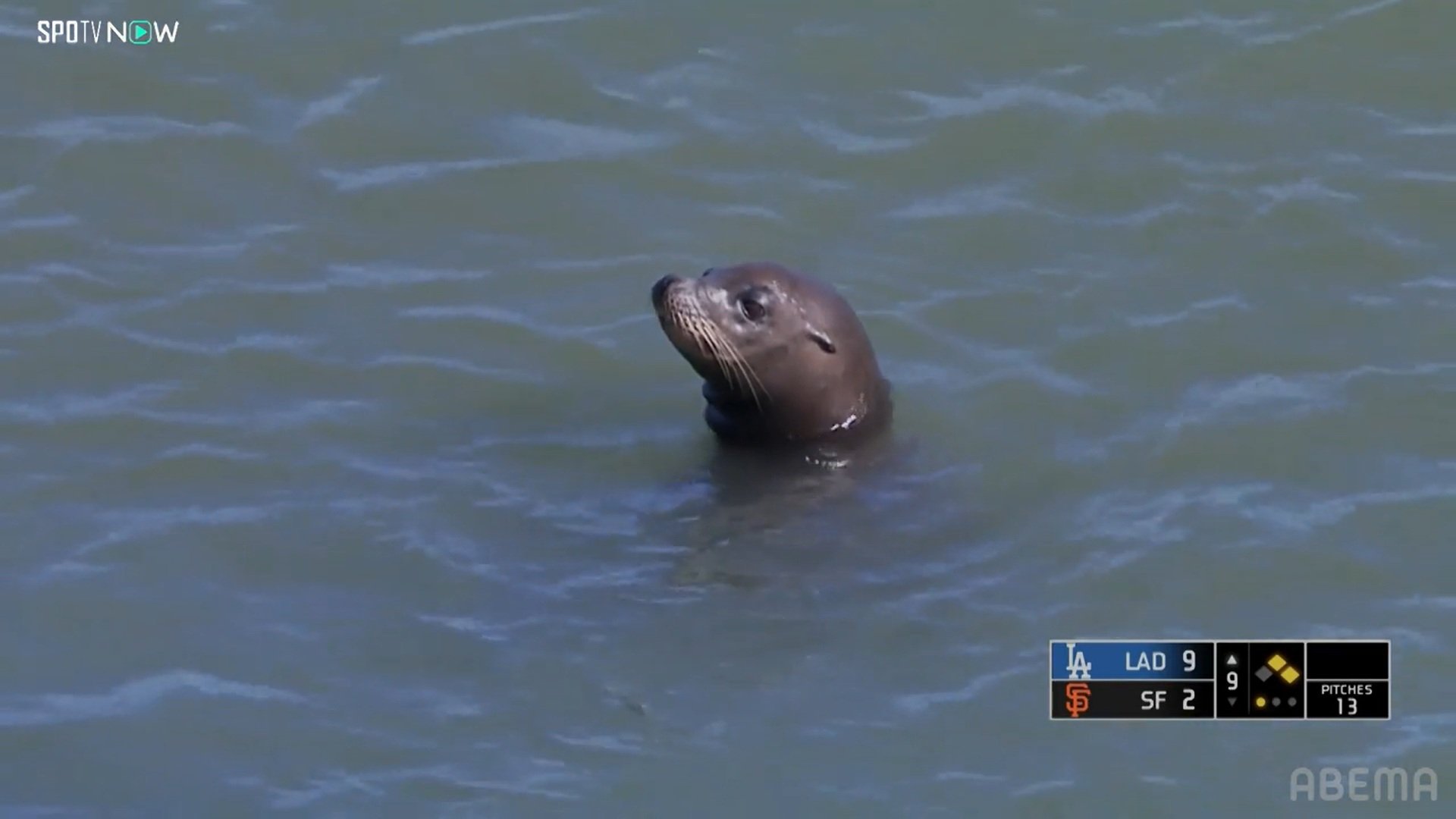 【写真・画像】　2枚目