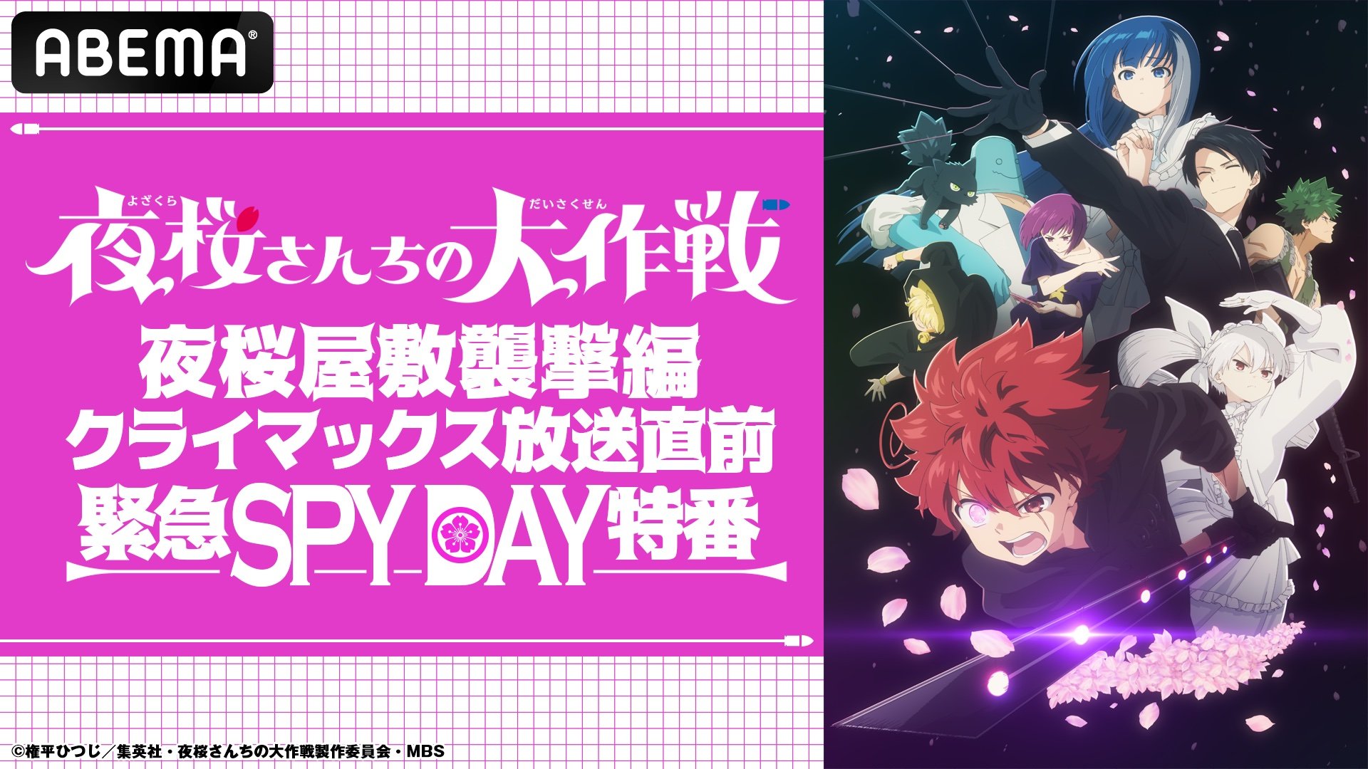 アニメ『夜桜さんちの大作戦』キャスト出演特番が7月20日(土)放送決定！新情報の解禁も | アニメニュース | アニメフリークス