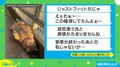 ジャストフィットだにゃ 狭い場所で寛ぐ猫の姿が話題 飼い主「すっぽりハマって満足気」