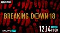 ブレイキングダウン18（Breaking Down18）試合速報・対戦カード・大会情報