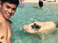 小島よしお『バハマ旅行』