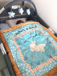 保田圭、出産祝いの用途を間違えるも「これはこれでいい感じ」