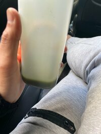 市川海老蔵『後ろ髪ひかれつつ』