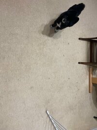 川島菜月『リビングを改造する』