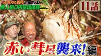 【アベマ限定】ナスD大冒険TV バイきんぐ西村の無人島0円生活体験withナスD11