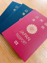 細川直美『パスポート』