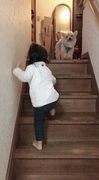 チャンカワイ、娘との1週間ぶりの再会に大興奮し反省「夜更かしさせちゃって。。ごめんよ」