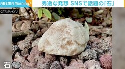 「その辺に落ちているものが一番なじみ深い」 SNSで話題の「石」、商品化の経緯は
