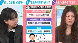 4人家族なら年8万9196円家計負担ダウン↓各党主張する「食品の消費税ゼロ」の影響をファイナンシャルプランナーが試算…具体的な財源論は置いてけぼり？懸念も