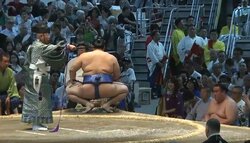 大相撲名古屋場所、“紫の美女”がネットで話題 溜まり席で“凛”とした着物ドレス姿に「美人すぎる」「お召し物が個性的」