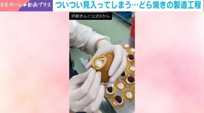 「どらきんぐ生」