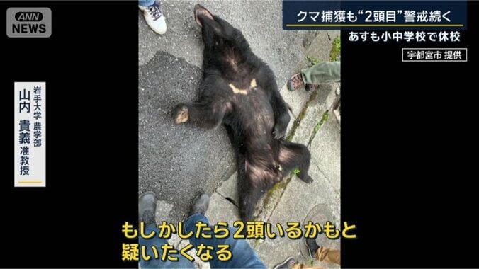 岩手大学農学部　山内貴義准教授